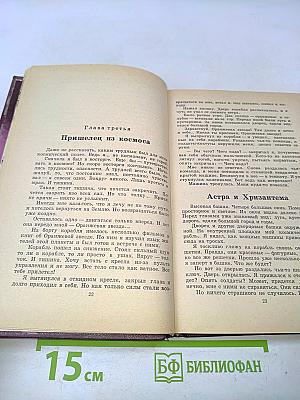 Сказки и фантазии