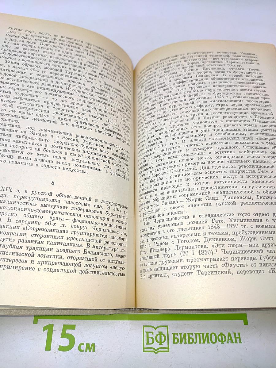 Гёте в русской литературе