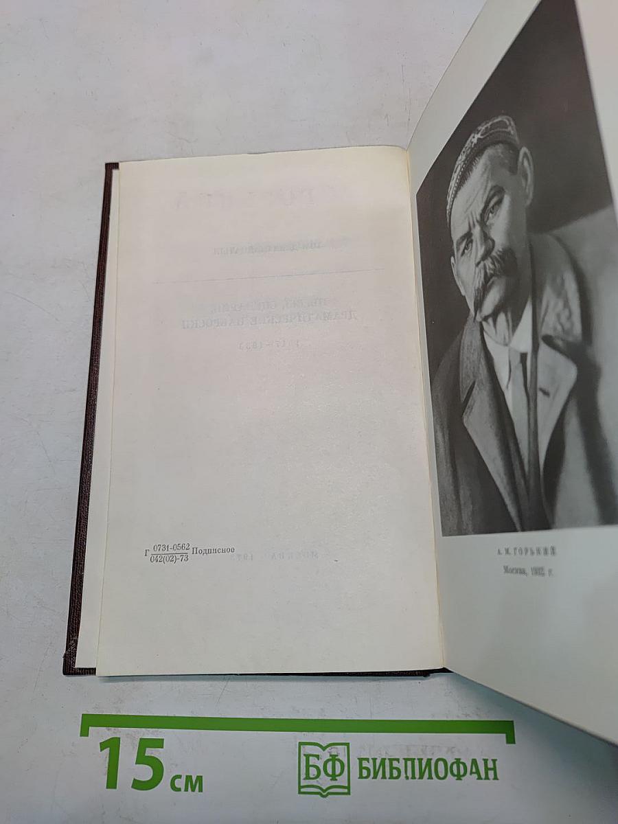 Собрание сочинений. Том девятнадцатый. Пьесы, сценарии, драматические наброски. 1917-1935