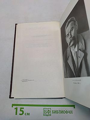 Собрание сочинений. Том девятнадцатый. Пьесы, сценарии, драматические наброски. 1917-1935