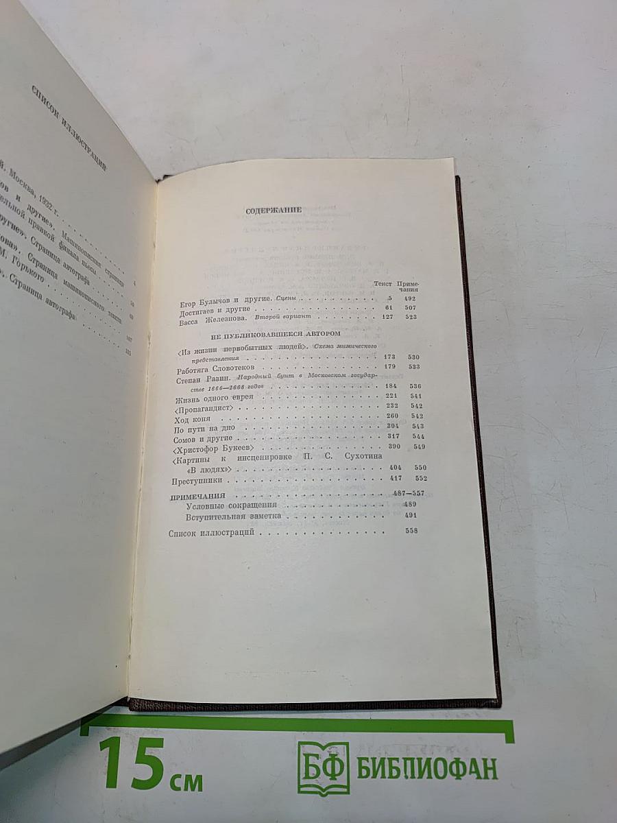 Собрание сочинений. Том девятнадцатый. Пьесы, сценарии, драматические наброски. 1917-1935