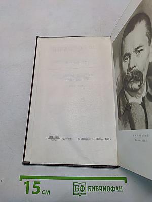 Собрание сочинений. Том двадцать первый. Рассказы, очерки, воспоминания 1924-1935