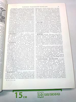 Большая Советская Энциклопедия. Том 28
