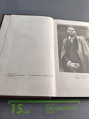 Жизнь Клима Самгина. Том двадцать пятый. 1925-1936. Заметки, наброски, примечания, указатели