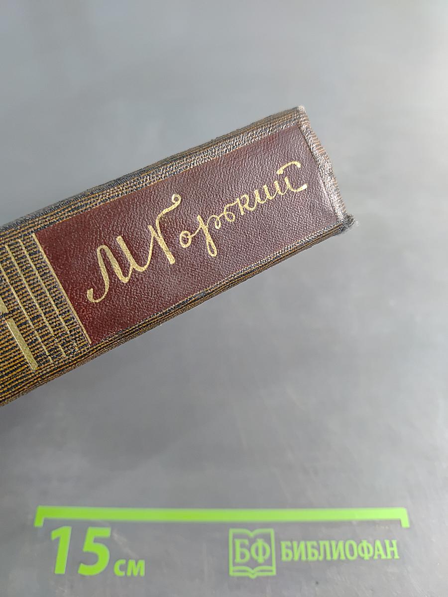 Жизнь Клима Самгина. Том двадцать пятый. 1925-1936. Заметки, наброски, примечания, указатели