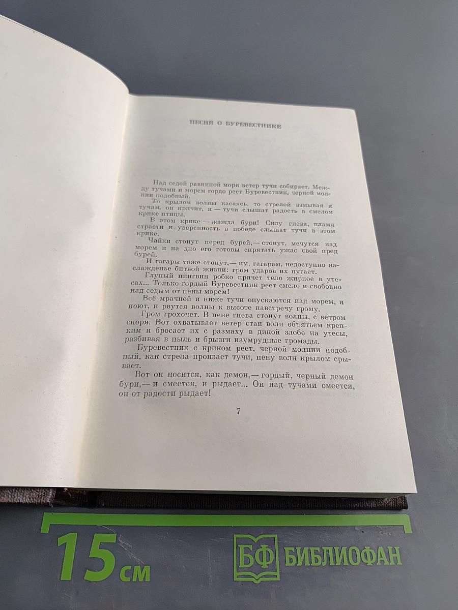 Собрание сочинений. Том шестой. Рассказы, очерки, альброски, стихотворения 1901-1907