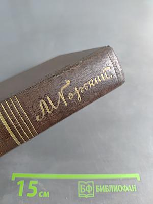 Собрание сочинений. Том шестой. Рассказы, очерки, альброски, стихотворения 1901-1907