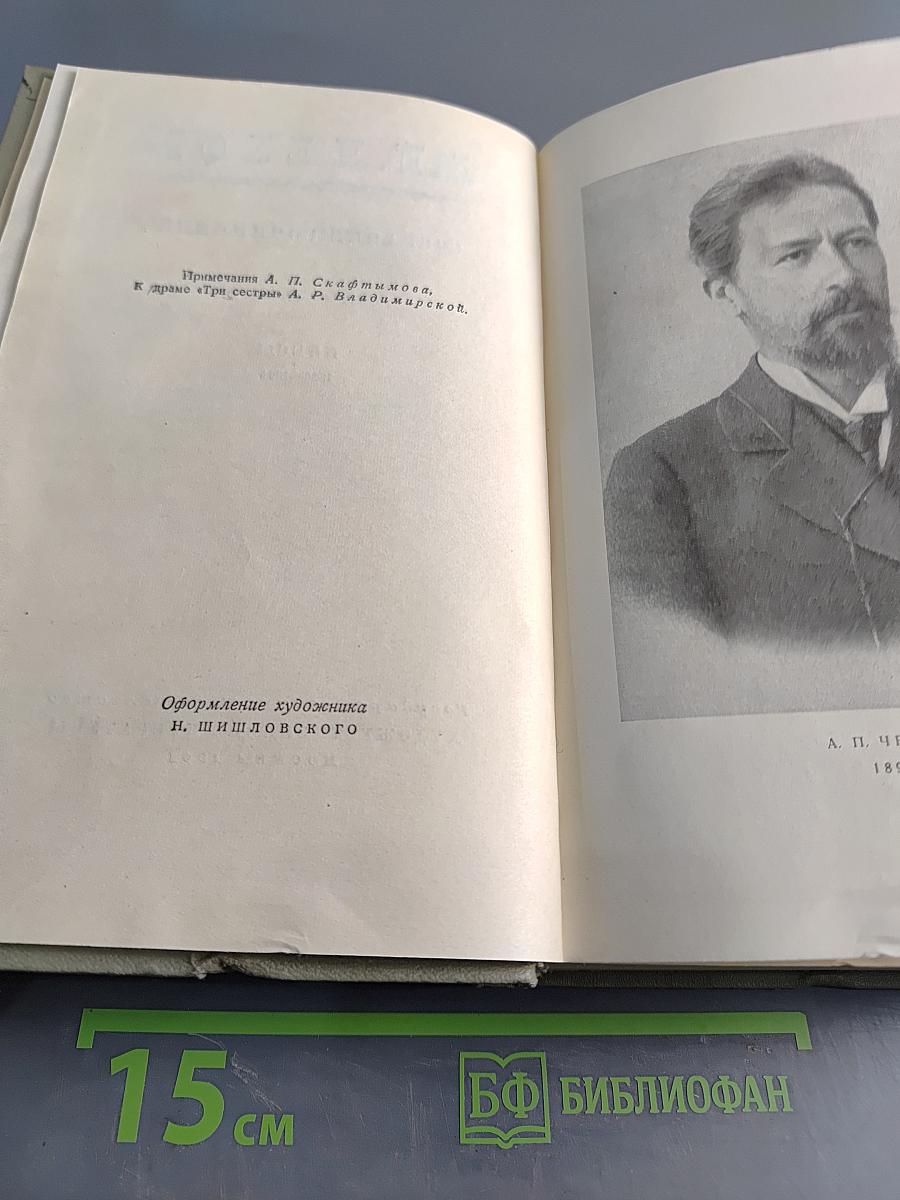Собрание сочинений. Том девятый. Пьесы 1880-1904