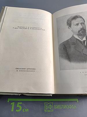 Собрание сочинений. Том девятый. Пьесы 1880-1904