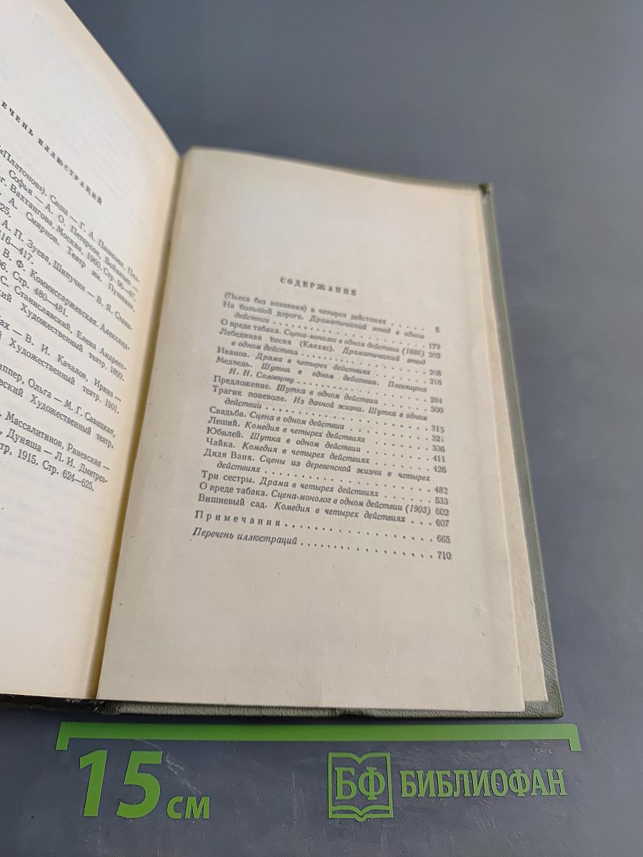Собрание сочинений. Том девятый. Пьесы 1880-1904