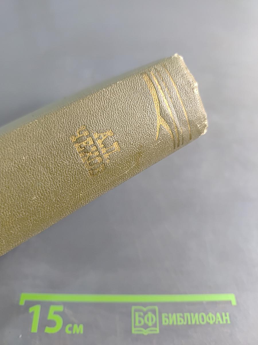 Собрание сочинений. Том девятый. Пьесы 1880-1904