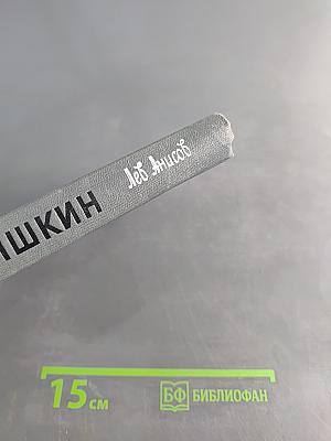 Шишкин