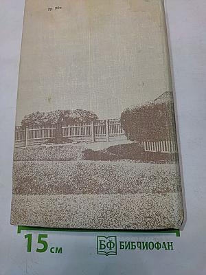 Полное собрание сочинений. Том 12. Письма (1881-1886)