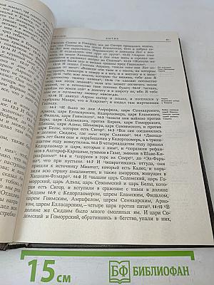 Новая толковая Библия. Том 1