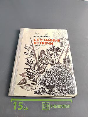 Случайные встречи