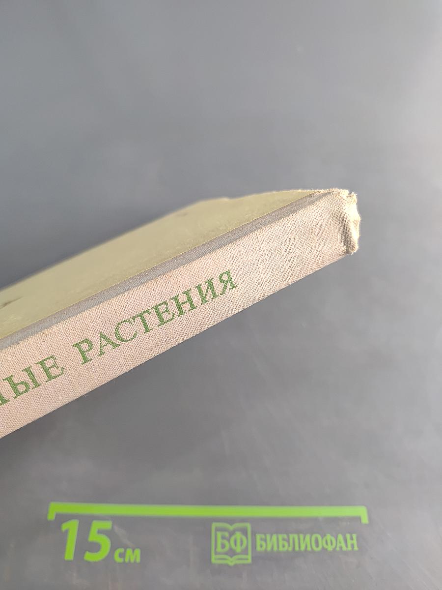 Лекарственные растения (Растения-целители)