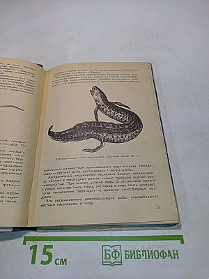 Рассказ о жизни рыб