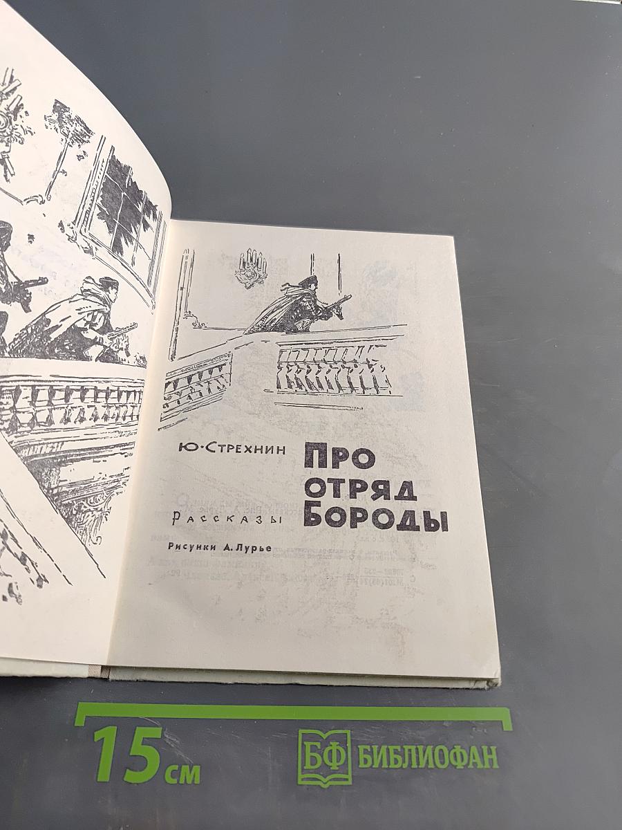 Про отряд Бороды