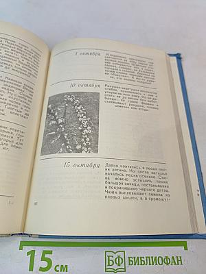 Земля над облаками