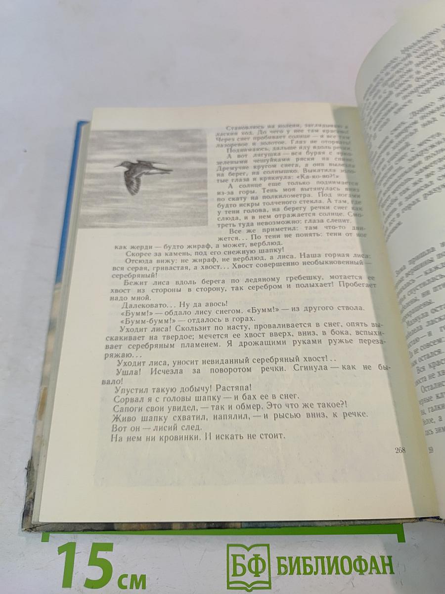 Земля над облаками