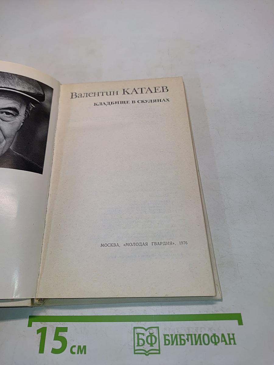 Кладбище в скулянах