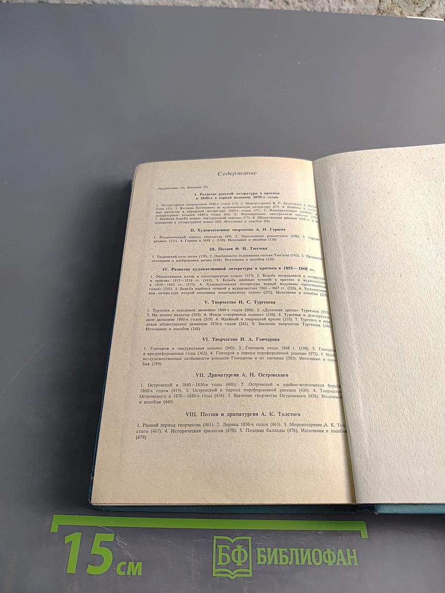 История русской литературы XIX века (1840-1860-е годы)