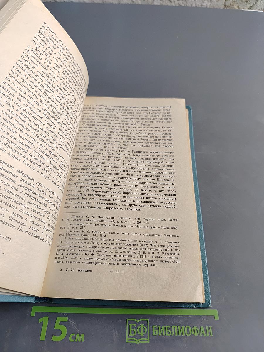 История русской литературы XIX века (1840-1860-е годы)