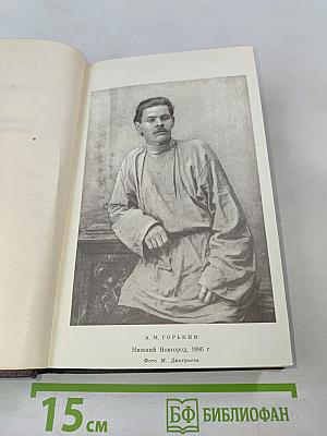 Собрание сочинений. Том второй. Рассказы, очерки, наброски, стихи. 1894-1896