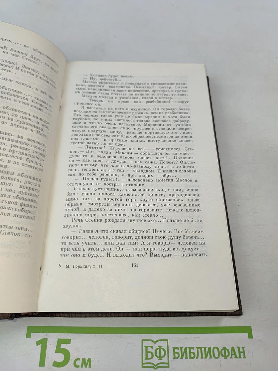 Собрание сочинений. Том второй. Рассказы, очерки, наброски, стихи. 1894-1896