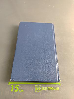Вечные хлопоты. Книга первая