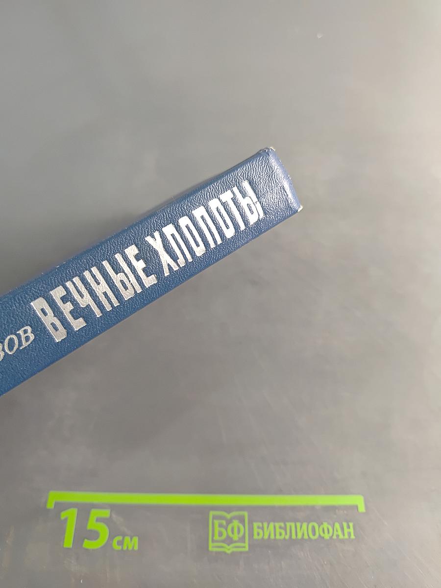 Вечные хлопоты. Книга первая