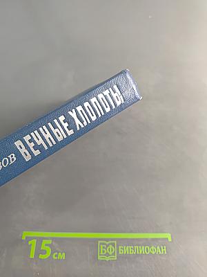 Вечные хлопоты. Книга первая