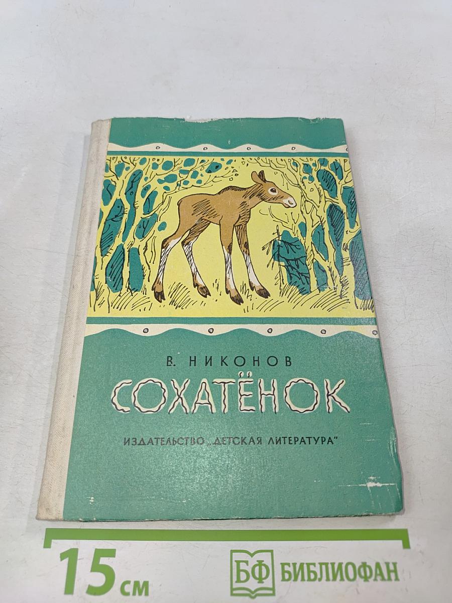Сохатёнок