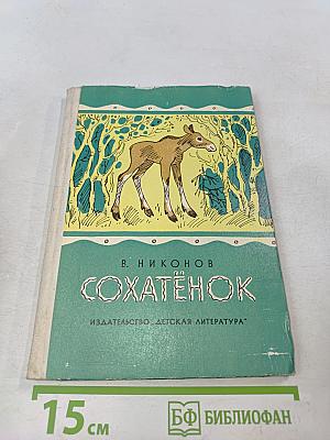 Сохатёнок