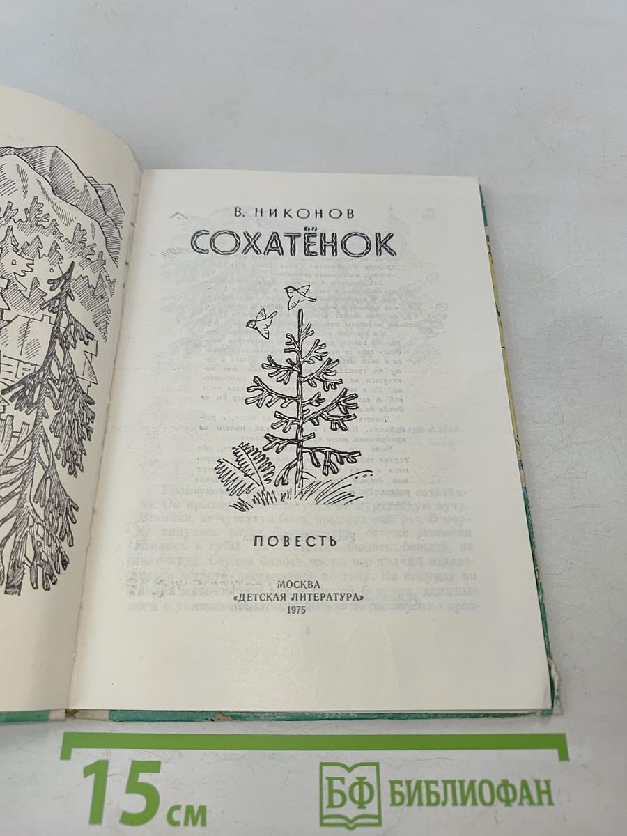 Сохатёнок
