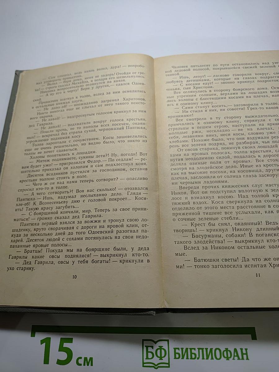 Степан Разин. Книга вторая