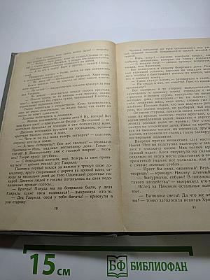 Степан Разин. Книга вторая