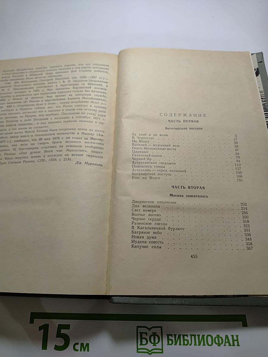 Степан Разин. Книга вторая