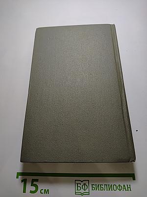 Степан Разин. Книга вторая