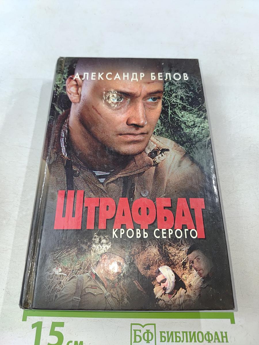 Штрафбат. Кровь Серого