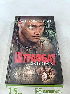 Штрафбат. Кровь Серого