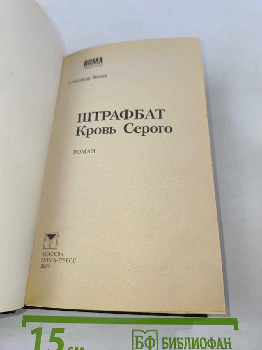 Штрафбат. Кровь Серого