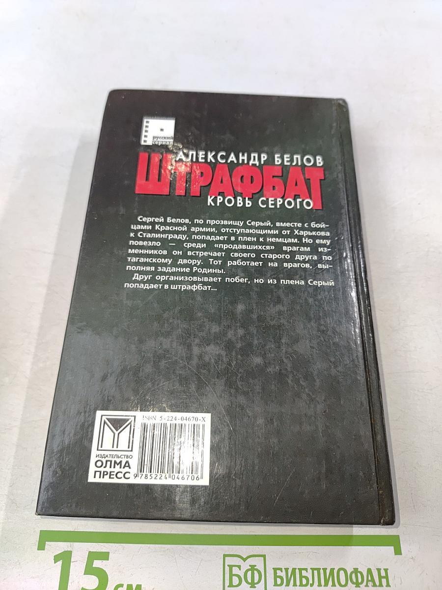 Штрафбат. Кровь Серого