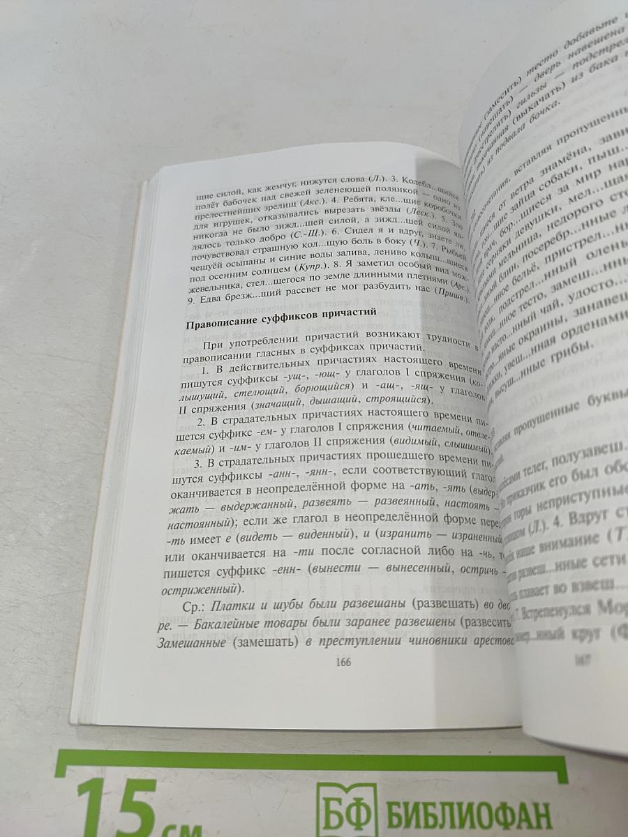 Русский язык. Орфография. Пунктуация