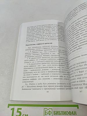 Русский язык. Орфография. Пунктуация