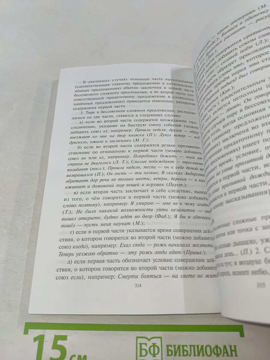 Русский язык. Орфография. Пунктуация