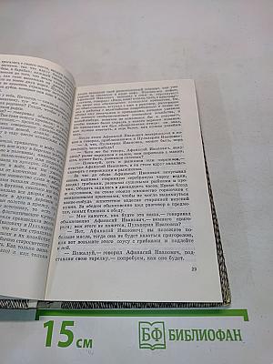 Миргород. Портрет. Шинель