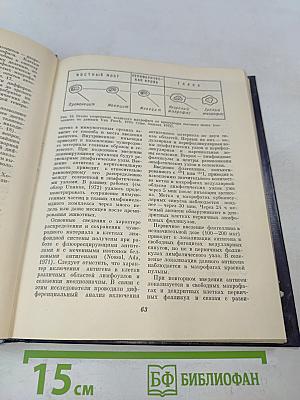 Очерки современной иммунологии