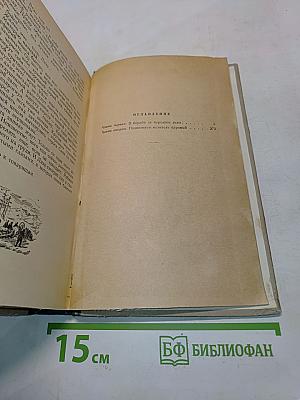 Хребты Саянские. Книга третья. Пулей пробитое знамя