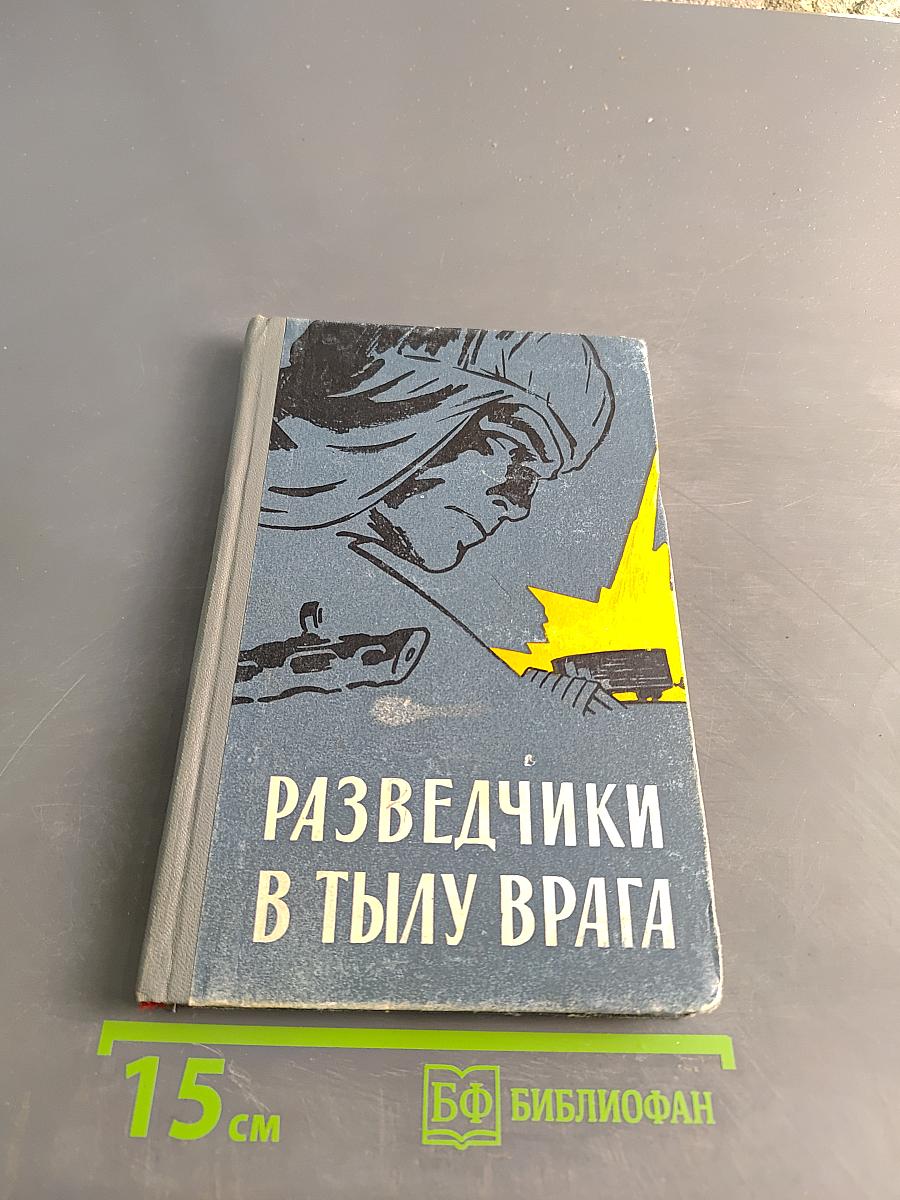 Разведчики в тылу врага